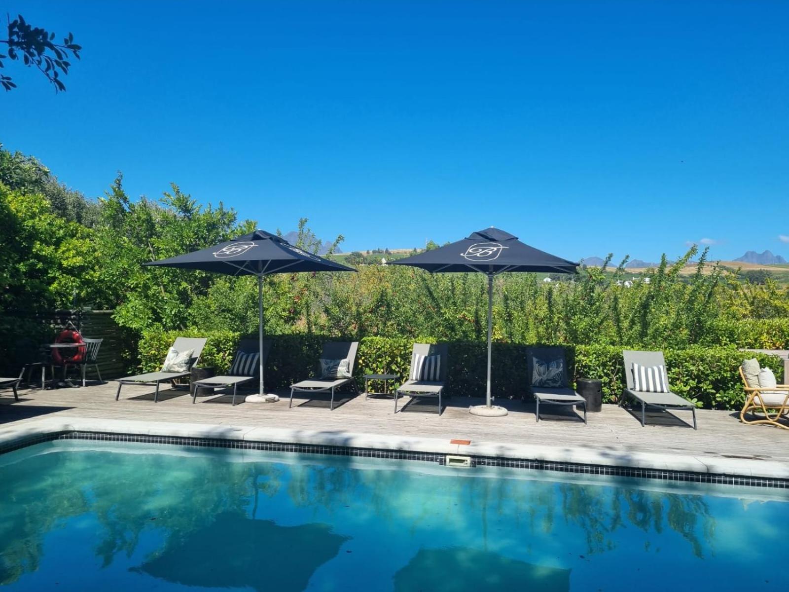Brenaissance Wine & Stud Estate Hotel Stellenbosch Kültér fotó