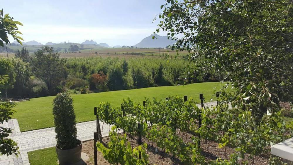 Brenaissance Wine & Stud Estate Hotel Stellenbosch Kültér fotó